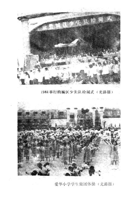 《爱华镇志》.pdf_云南省志插图3