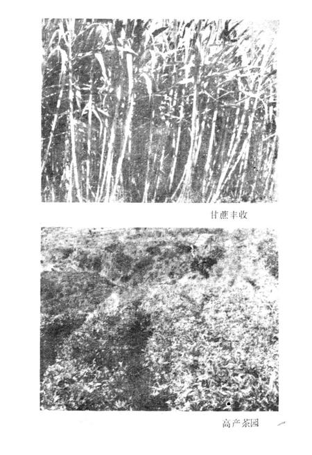《爱华镇志》.pdf_云南省志插图4