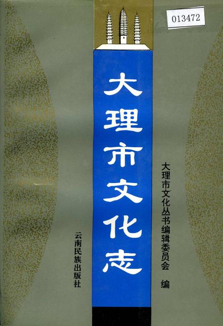《大理市文化志》.pdf_云南省志