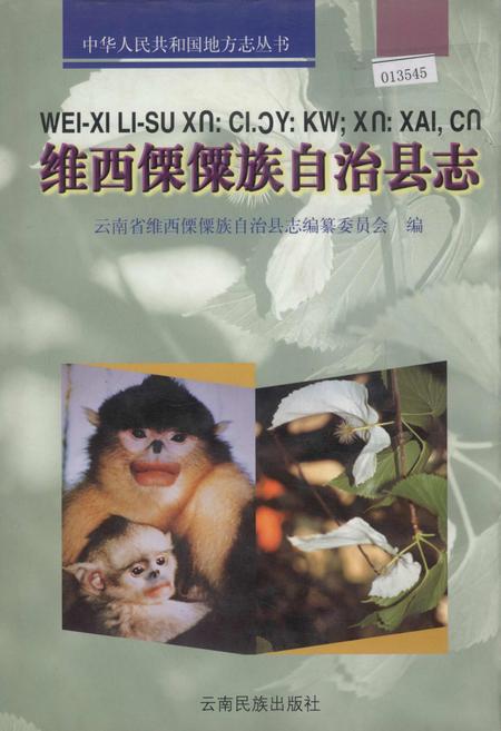 《维西傈僳族自治县志》.pdf_云南省志