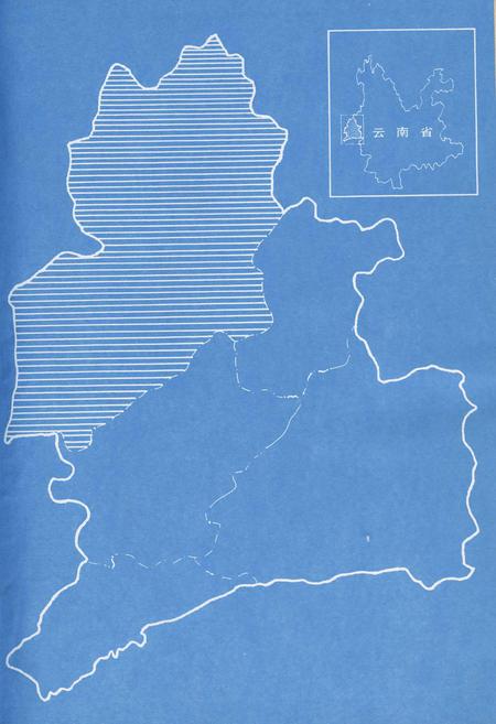 《盈江县林业志》.pdf_云南省志插图3