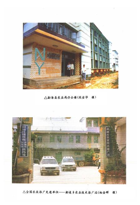 《勐海县农业志》.pdf_云南省志插图3