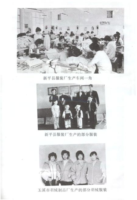 《玉溪地区城乡集体企业志》.pdf_云南省志插图5
