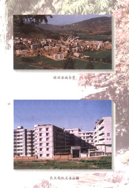 《禄劝彝族苗族自治县农业志》.pdf_云南省志插图2