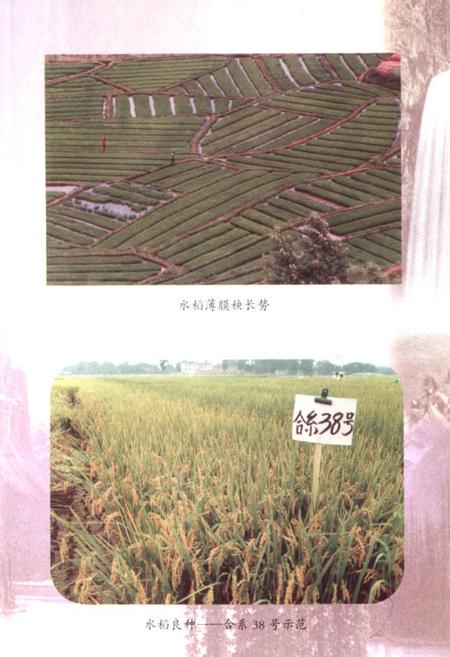 《禄劝彝族苗族自治县农业志》.pdf_云南省志插图4