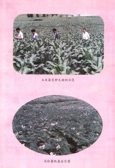 《禄劝彝族苗族自治县农业志》.pdf_云南省志插图5