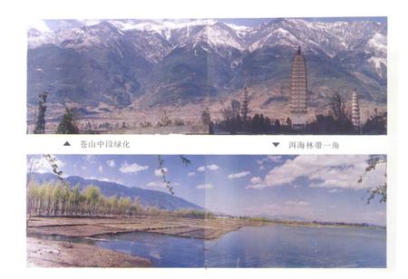 《大理市林业志》.pdf_云南省志插图2 《大理市林业志》.pdf_云南省志插图2