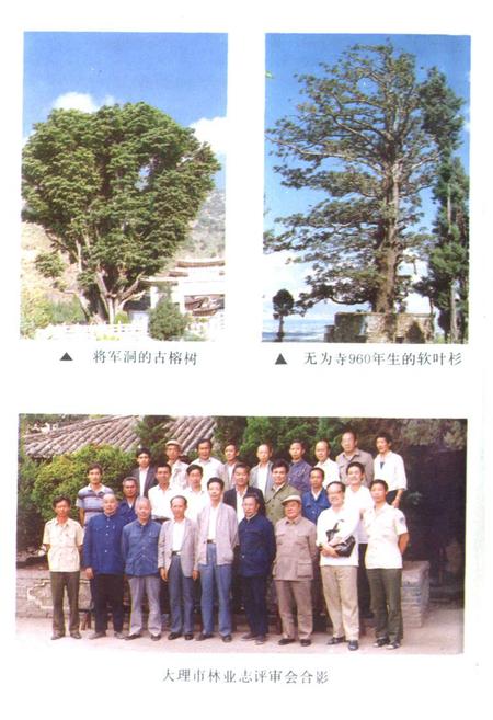 《大理市林业志》.pdf_云南省志插图5 《大理市林业志》.pdf_云南省志插图5