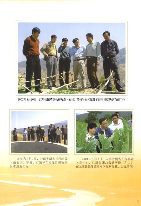 《《元江哈尼族彝族傣族自治县烟草志》》.pdf_云南省志插图5