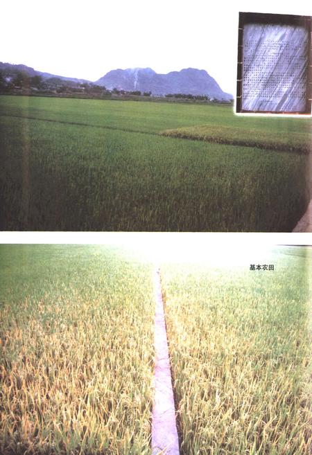 《《普洱哈尼族彝族自治县土地志》》.pdf_云南省志插图3