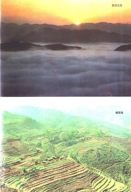 《《普洱哈尼族彝族自治县土地志》》.pdf_云南省志插图4