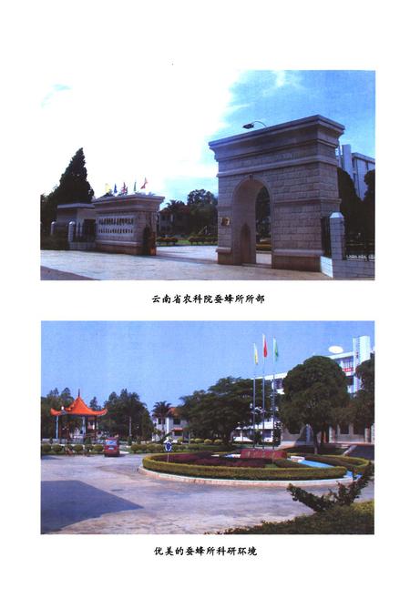 《《蚕蜂所志》》.pdf_云南省志插图4