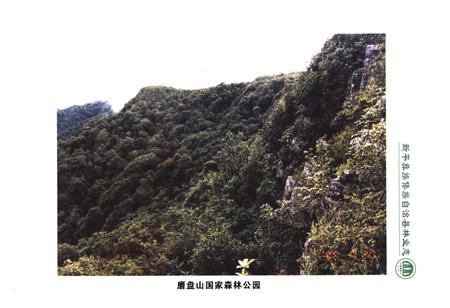 《《新平彝族傣族自治县林业志》》.pdf_云南省志插图4