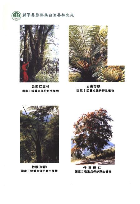 《《新平彝族傣族自治县林业志》》.pdf_云南省志插图5