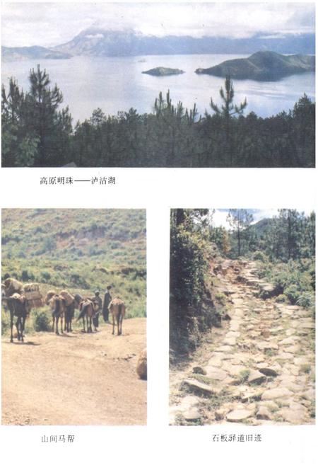 《宁蒗彝族自治县交通志》.pdf_云南省志插图4 《宁蒗彝族自治县交通志》.pdf_云南省志插图4