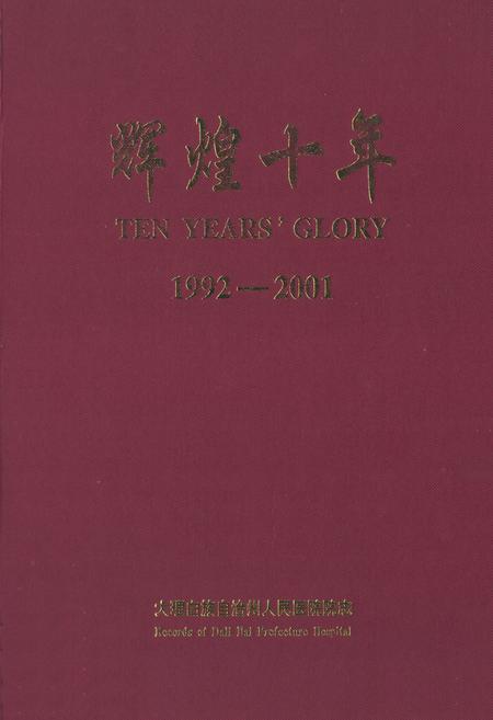 《辉煌十年(1992-2001)》.pdf_云南省志