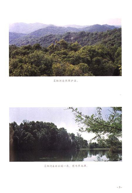 《思茅地区林业志》.pdf_云南省志插图5