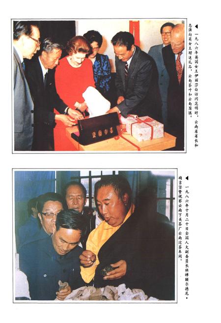 《云南省茶叶进出口公司志(1938-1990年)》.pdf_云南省志插图5