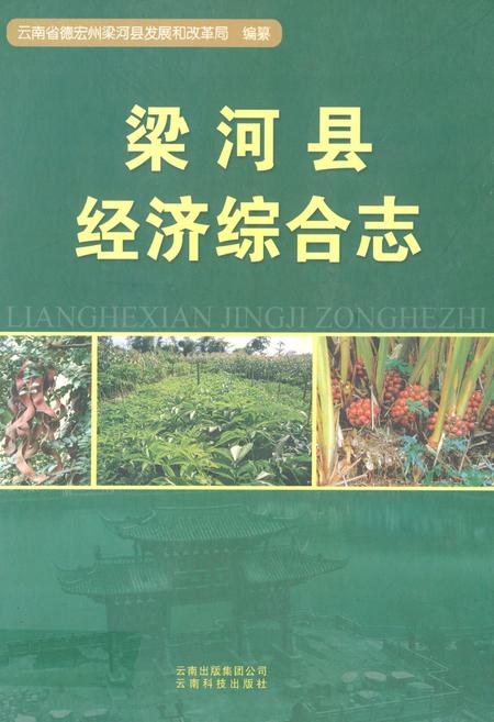 《梁河县经济综合志》.pdf_云南省志