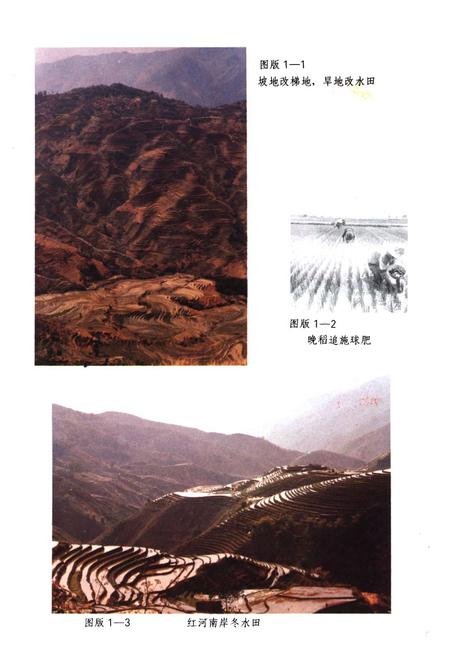《红河州农牧业志》.pdf_云南省志插图5