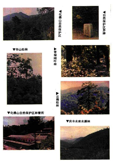 《《牟定县林业志》》.pdf_云南省志插图5
