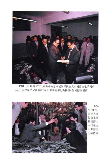《云南省文山壮族苗族自治州医药志》.pdf_云南省志插图5