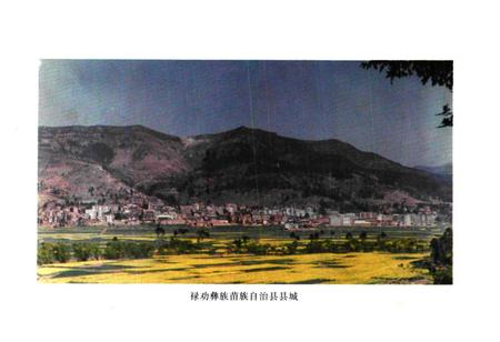 《禄劝彝族苗族自治县民政志》.pdf_云南省志插图3