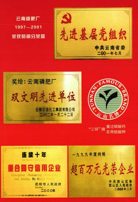 《《云南磷肥厂志(1997-2001)第三卷》》.pdf_云南省志插图2