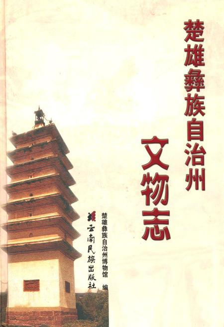 《《楚雄彝族自治州文物志》》.pdf_云南省志