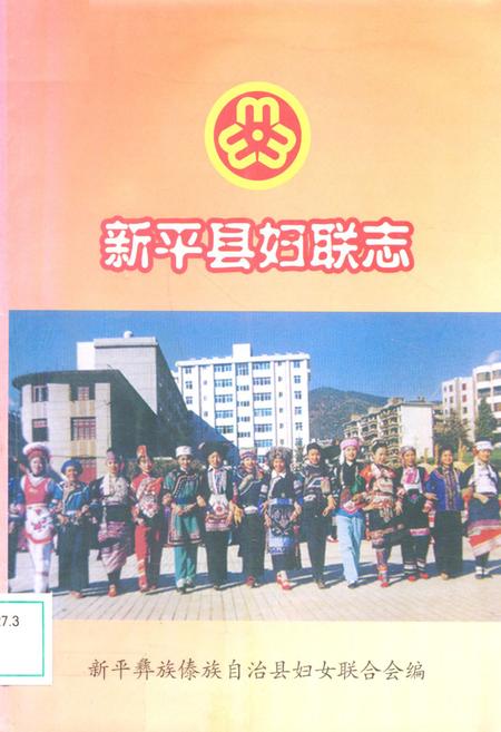 《新平县妇联志》.pdf_云南省志