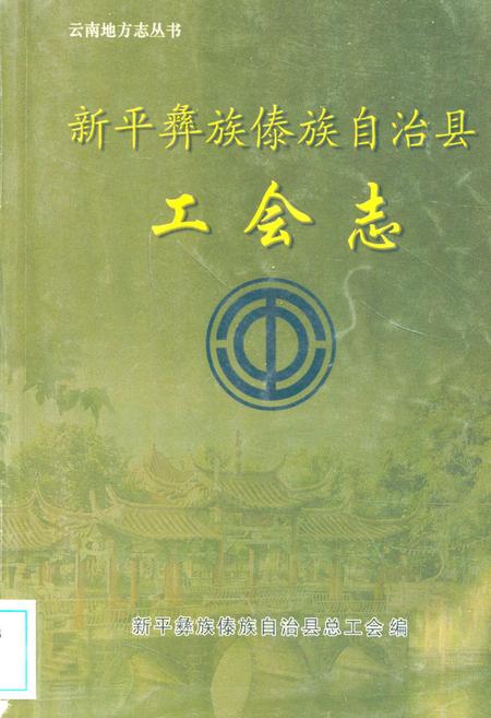 《新平彝族傣族自治县工会志》.pdf_云南省志