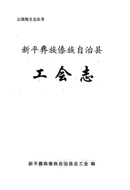 《新平彝族傣族自治县工会志》.pdf_云南省志插图1