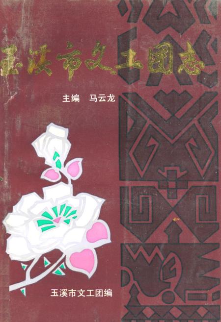 《《玉溪市文工团志》》.pdf_云南省志