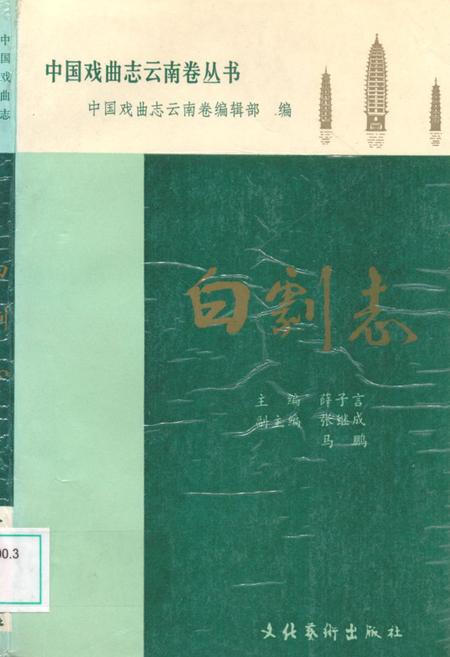 《中国戏曲志云南卷 白剧志》.pdf_云南省志