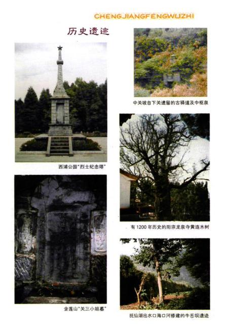 《澄江风物志》.pdf_云南省志插图3