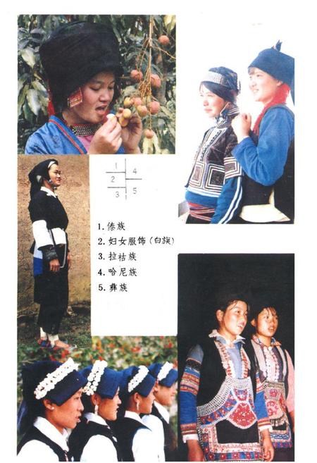 《元江哈尼族彝族傣族自治县民族志》.pdf_云南省志插图2