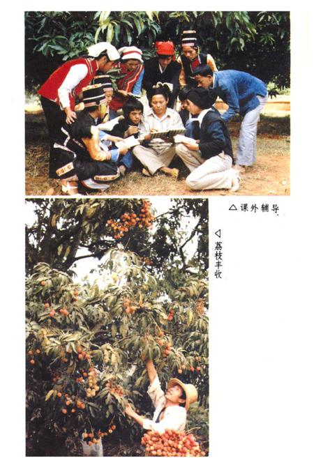 《元江哈尼族彝族傣族自治县民族志》.pdf_云南省志插图5