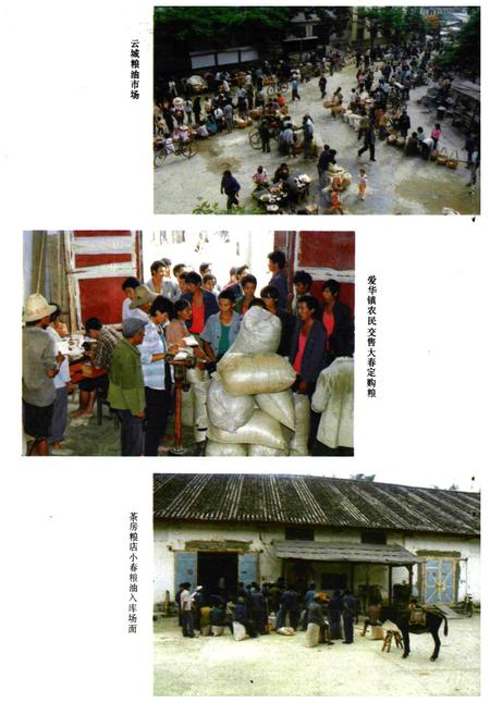 《云县粮油志》.pdf_云南省志插图5