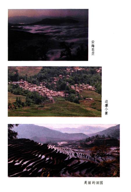《金平民族志》.pdf_云南省志插图3
