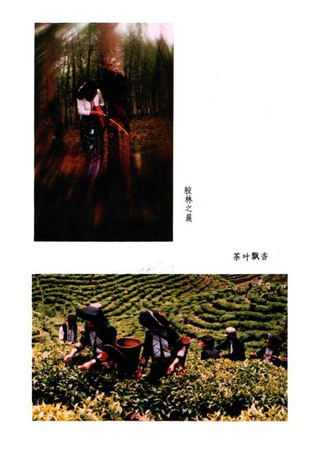 《金平民族志》.pdf_云南省志插图4