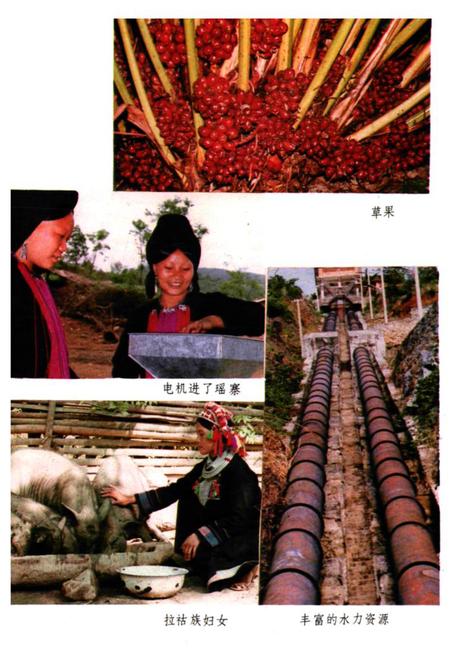 《金平民族志》.pdf_云南省志插图5