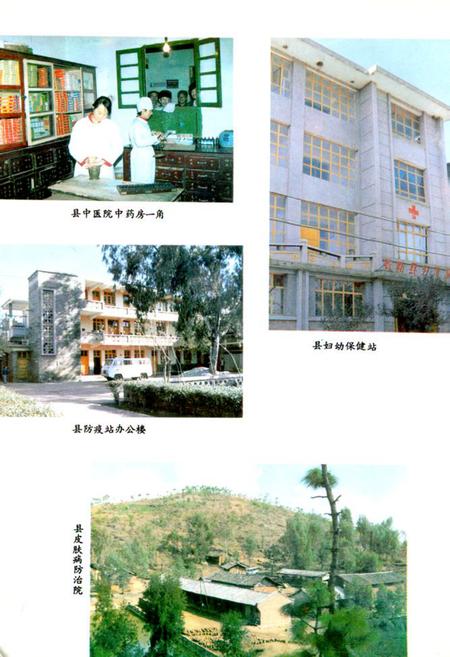 《《弥勒县卫生志》》.pdf_云南省志插图5