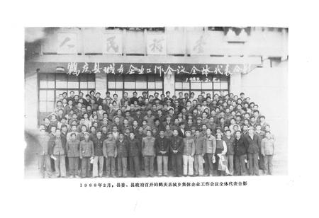 《鹤庆县城乡集体企业志(1950-1988)》.pdf_云南省志插图2