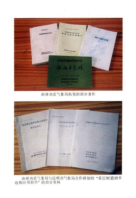 《禄劝彝族苗族自治县气象志》.pdf_云南省志插图4