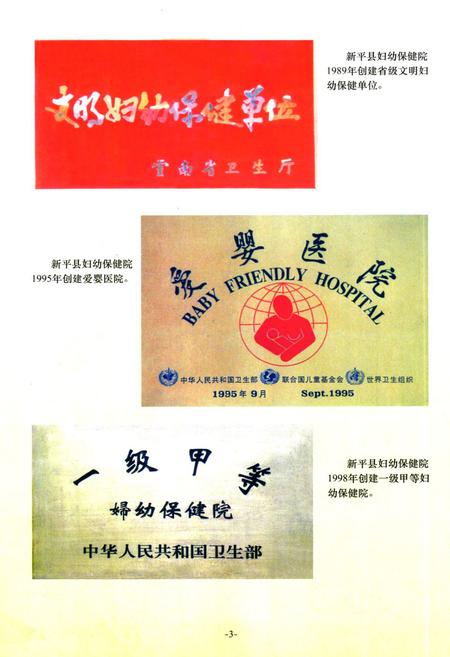 《《新平彝族傣族自治县妇幼卫生志》》.pdf_云南省志插图5