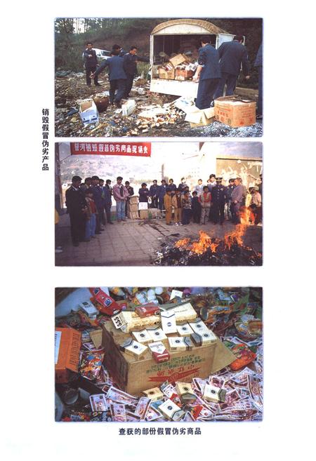 《普洱哈尼族彝族自治县工商行政管理志》.pdf_云南省志插图5