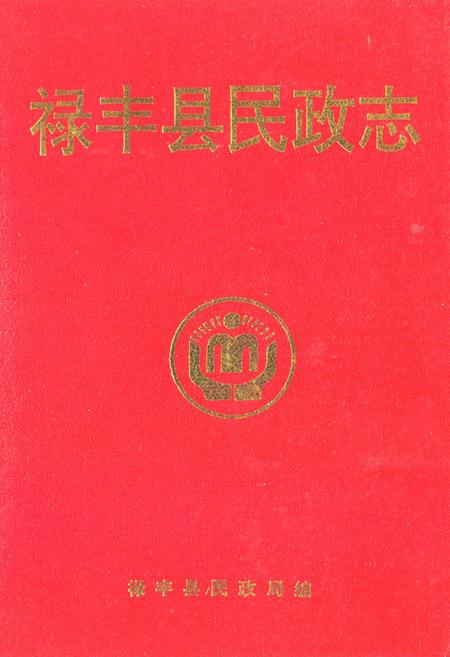 《禄丰县民政志》.pdf_云南省志