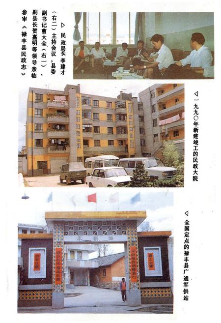 《禄丰县民政志》.pdf_云南省志插图5
