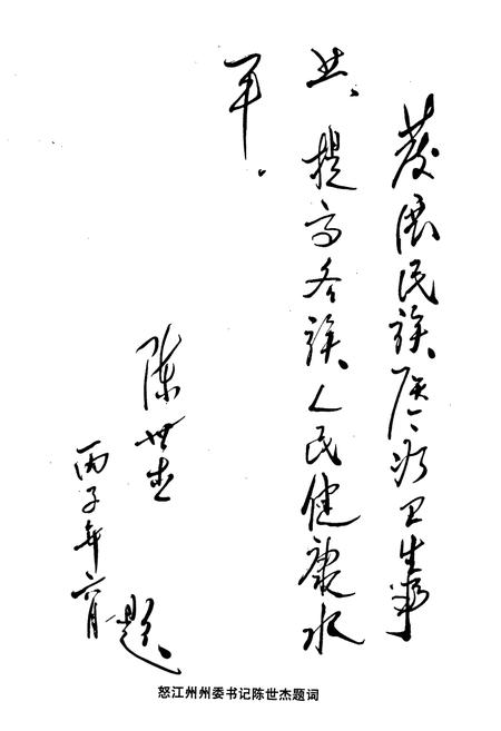 《云南省怒江傈僳族自治州人民医院院志》.pdf_云南省志插图2