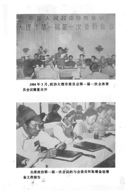 《大理市政协志(1950-1995)》.pdf_云南省志插图3